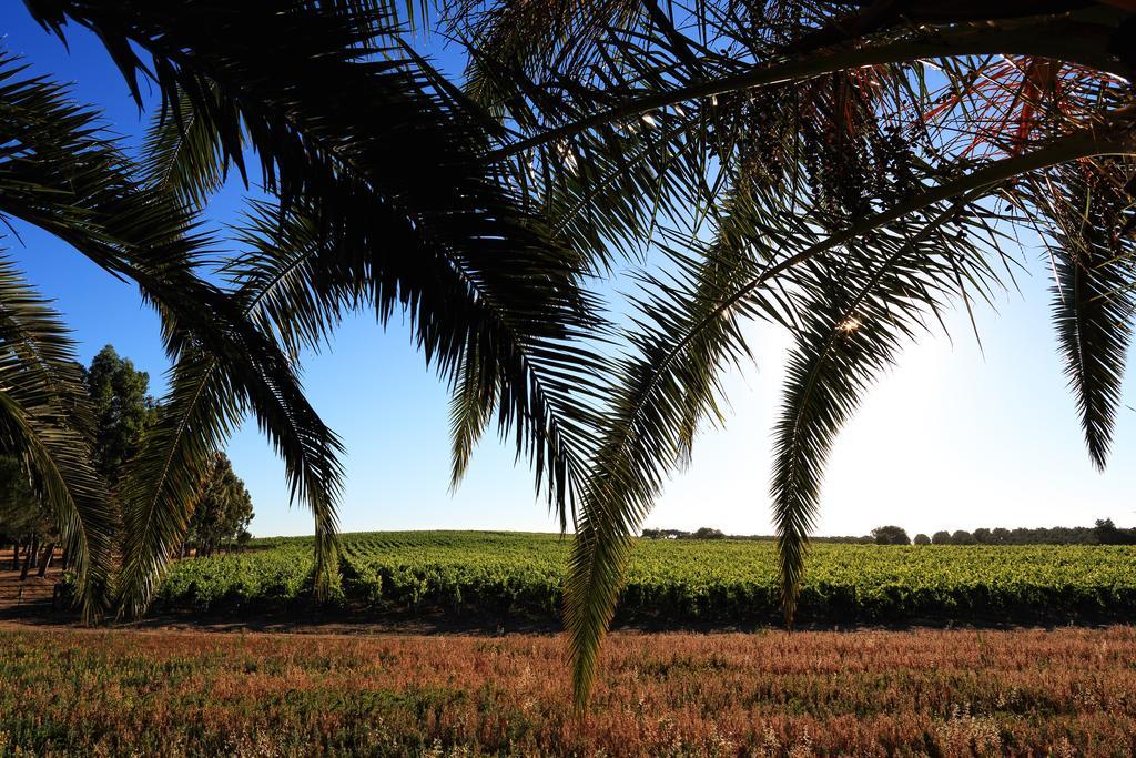 Herdade Da Calada Azaruja ภายนอก รูปภาพ