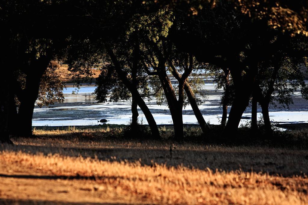 Herdade Da Calada Azaruja ภายนอก รูปภาพ