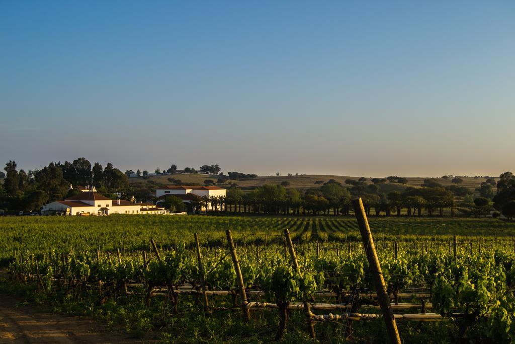 Herdade Da Calada Azaruja ภายนอก รูปภาพ