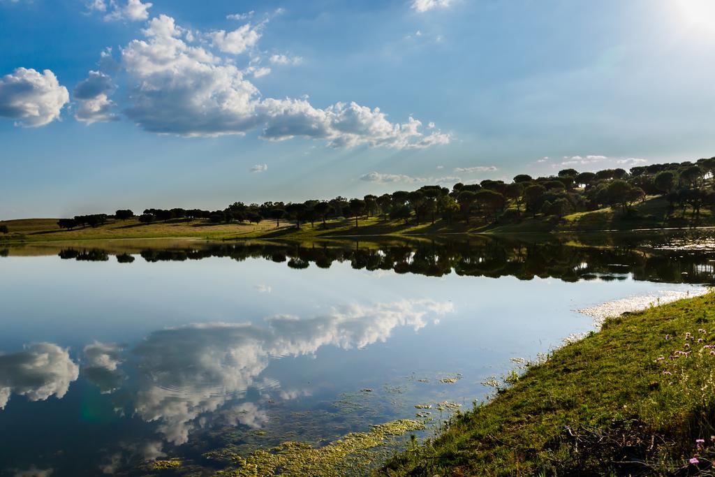 Herdade Da Calada Azaruja ภายนอก รูปภาพ